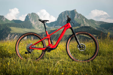 Thoemus Lightrider E-Max mit Eightpins Sattelstütze auf Wiese mit Alpen im Hintergrund.